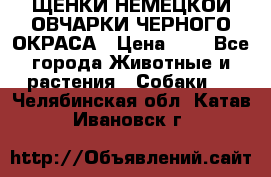 ЩЕНКИ НЕМЕЦКОЙ ОВЧАРКИ ЧЕРНОГО ОКРАСА › Цена ­ 1 - Все города Животные и растения » Собаки   . Челябинская обл.,Катав-Ивановск г.